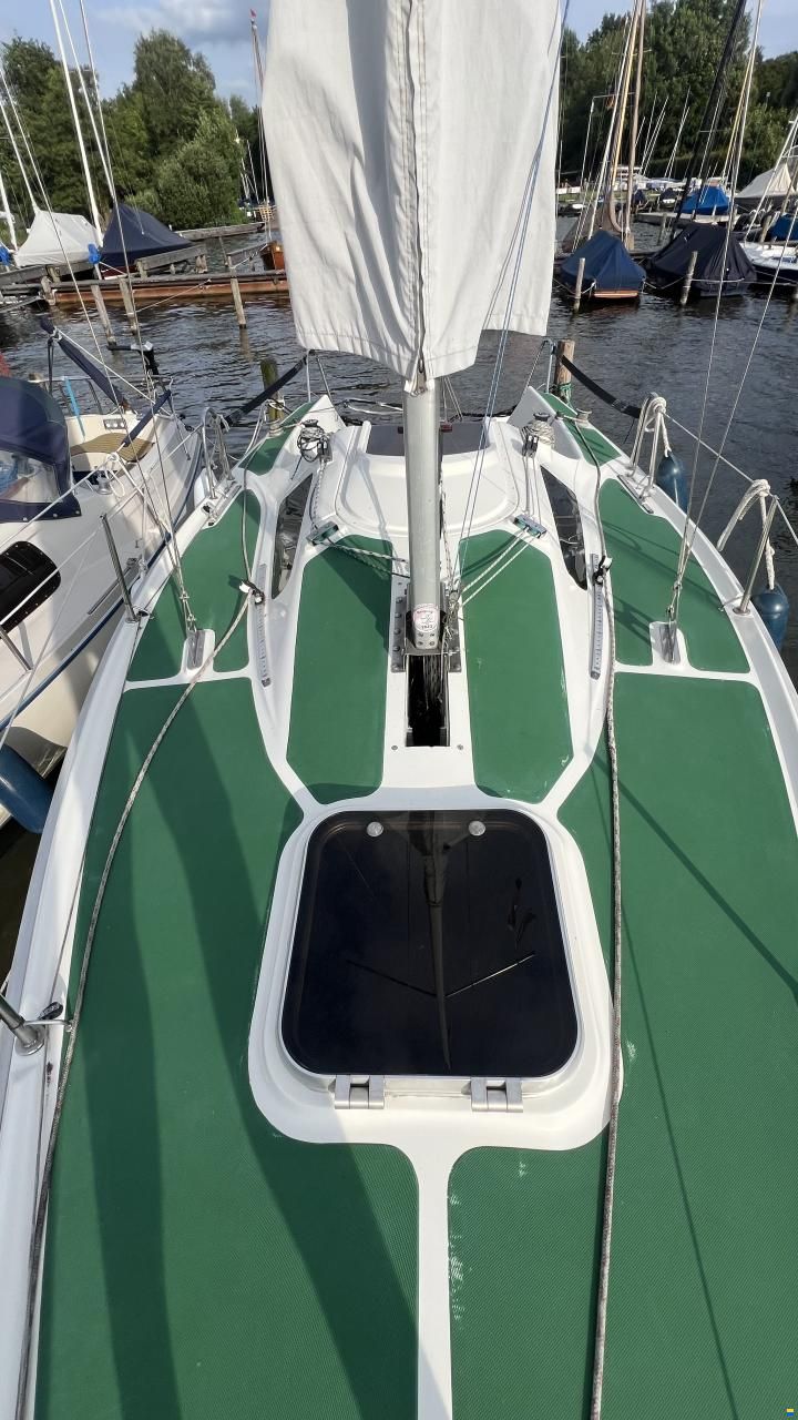 Delphia Sportina 680