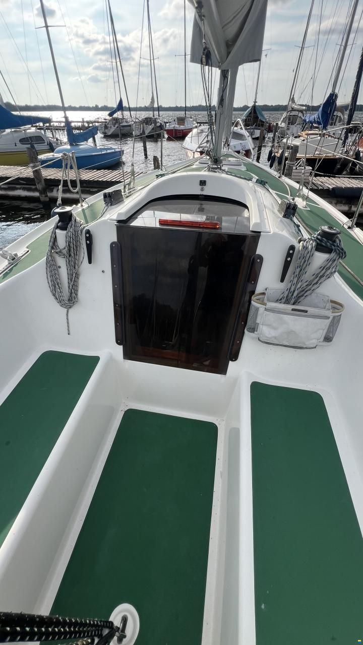 Delphia Sportina 680