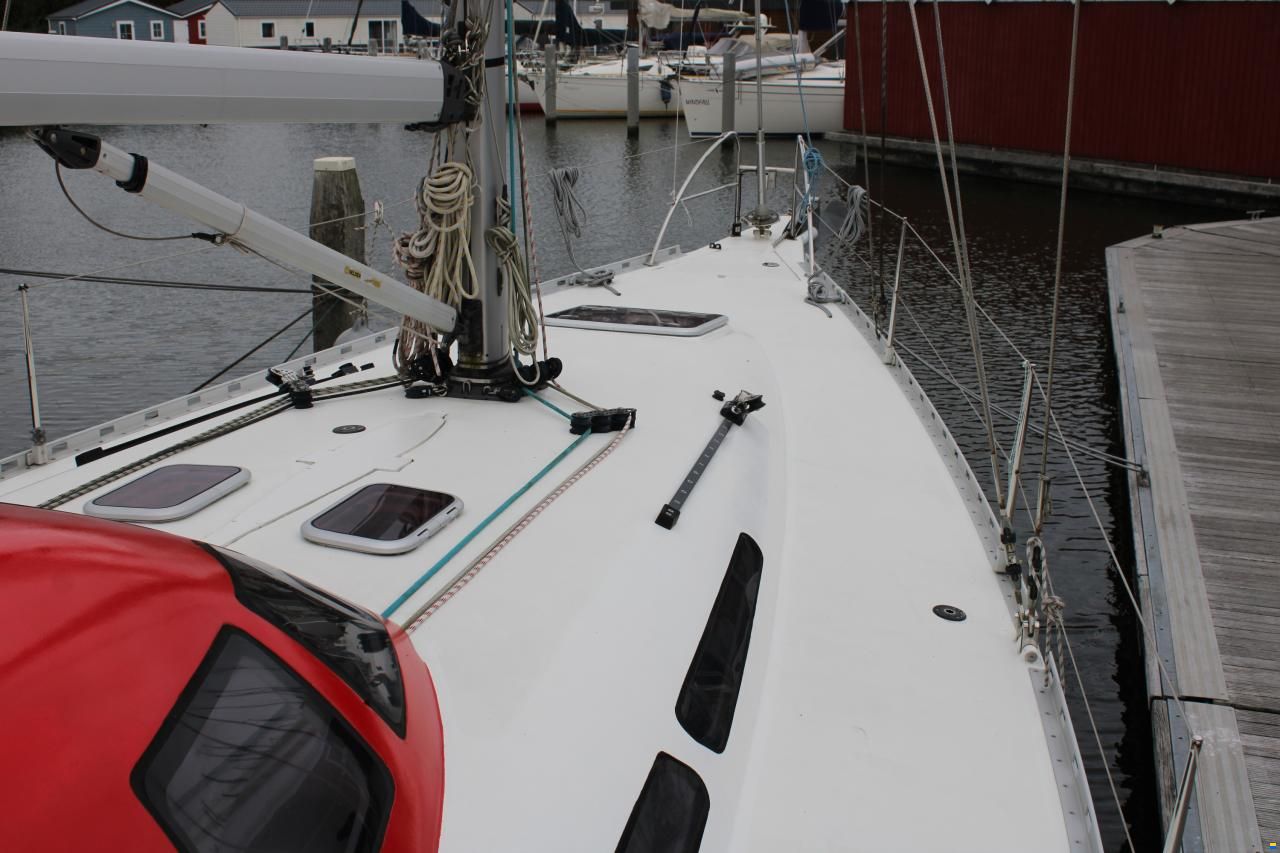 Balta 40