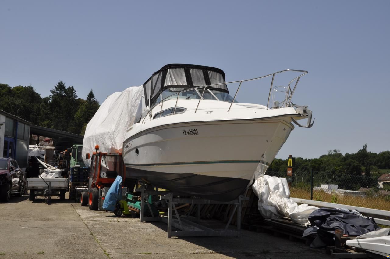 Regal 272 Valanti