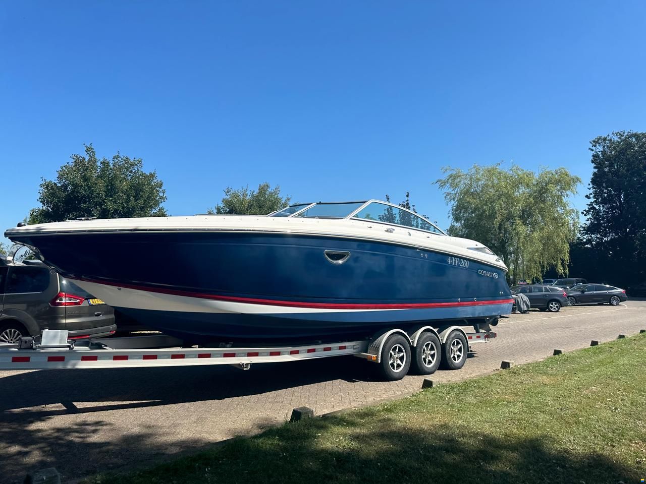 Cobalt 302