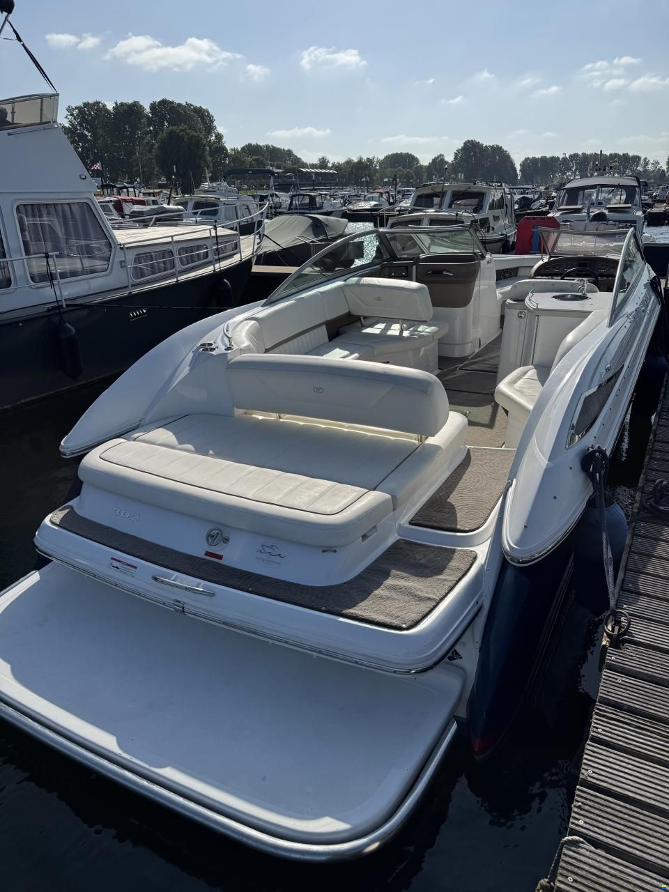 Cobalt 302
