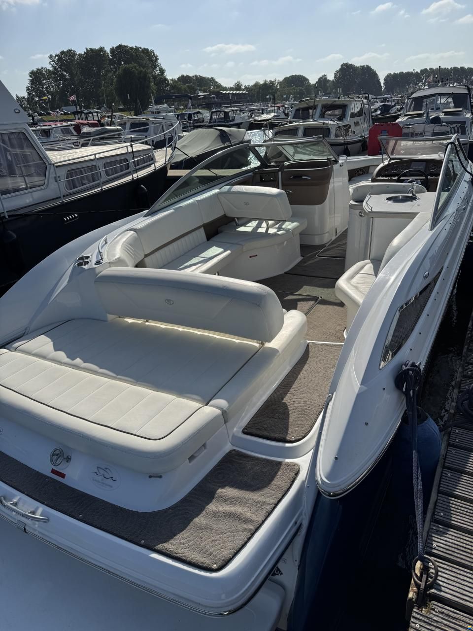 Cobalt 302