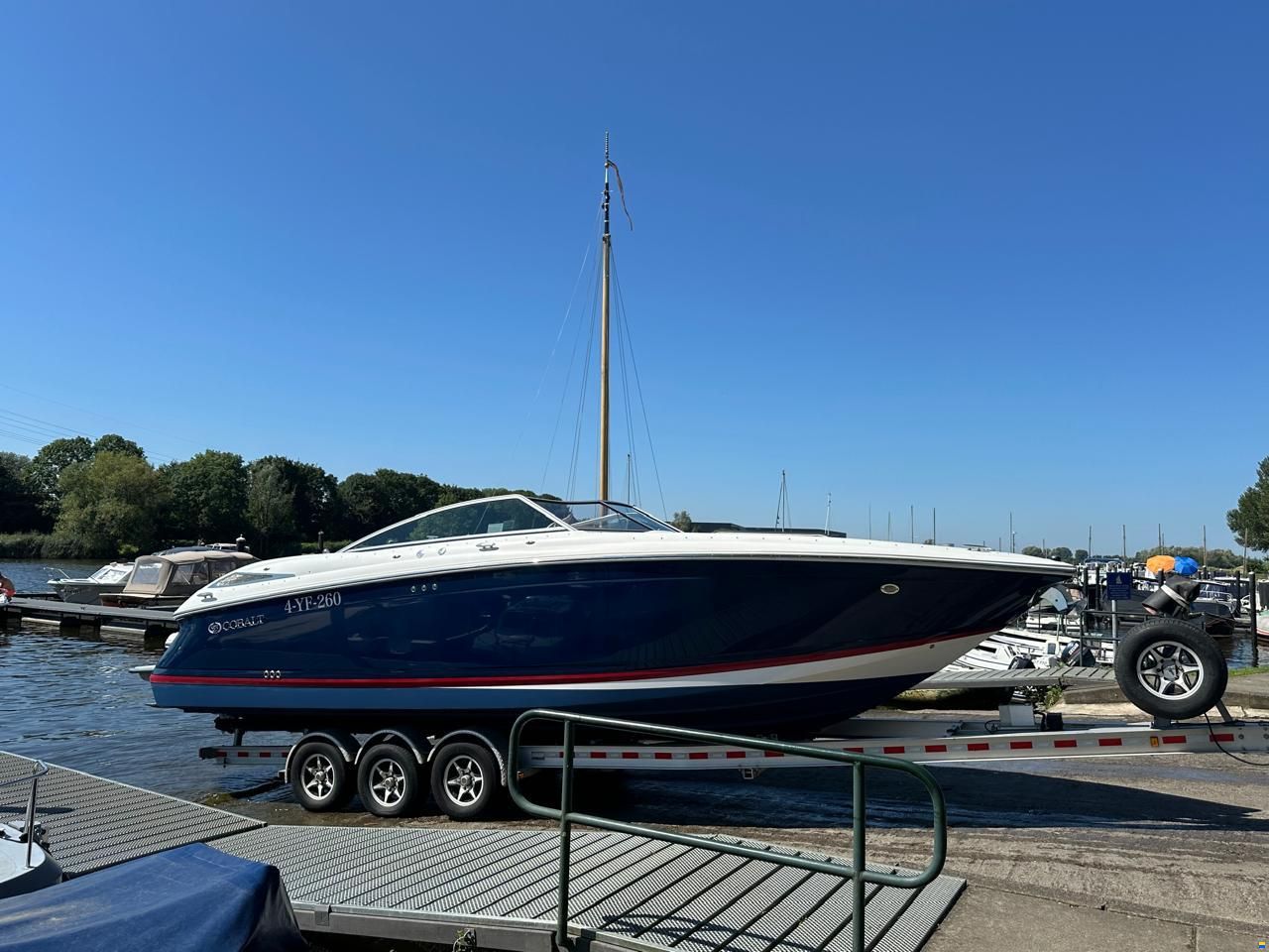 Cobalt 302