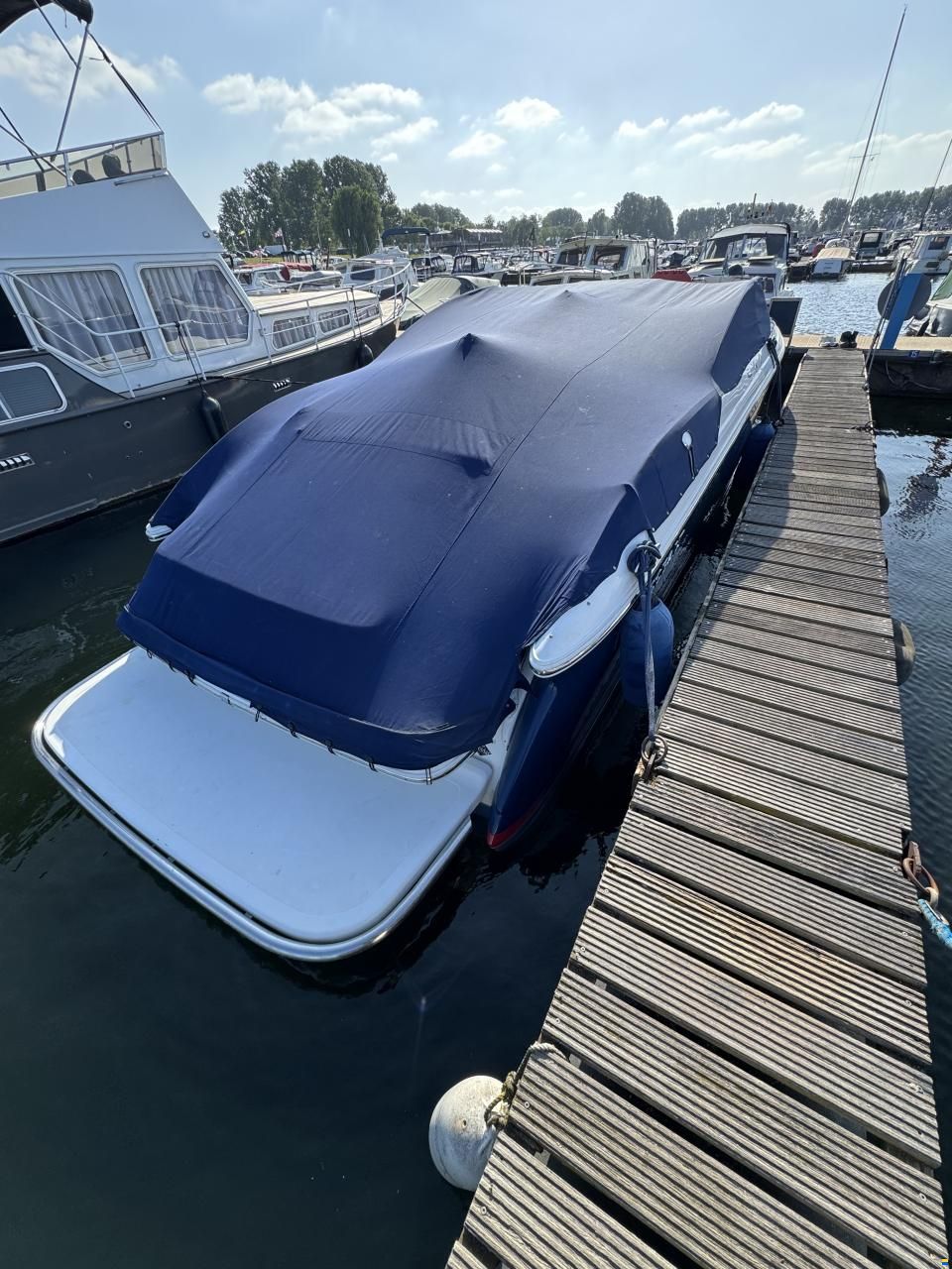 Cobalt 302