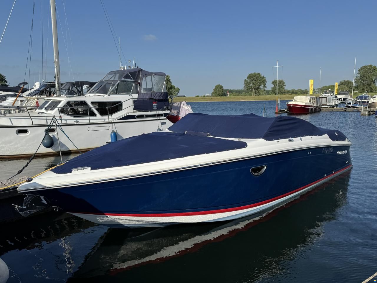 Cobalt 302