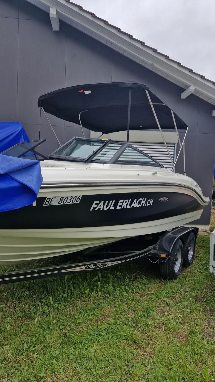Sea Ray SPX 210