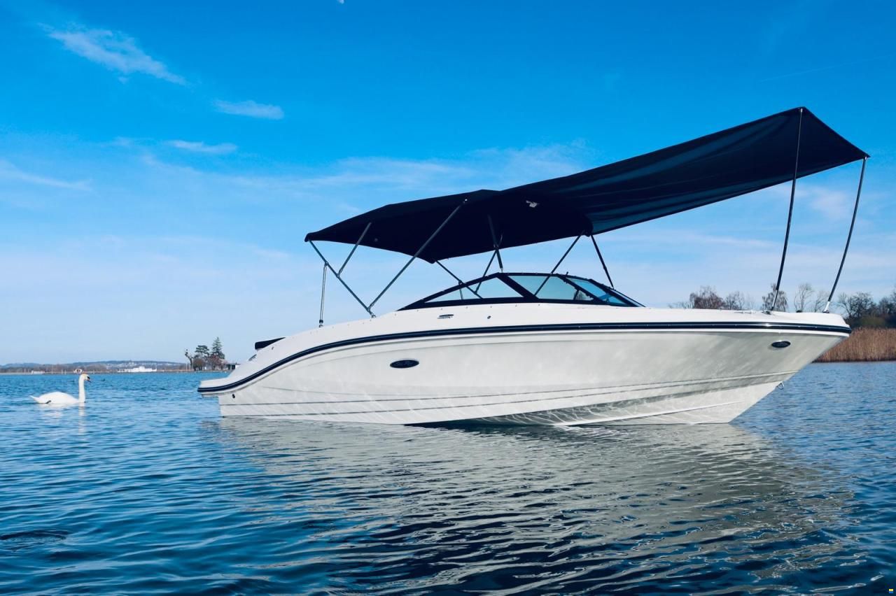 Sea Ray SPX 210