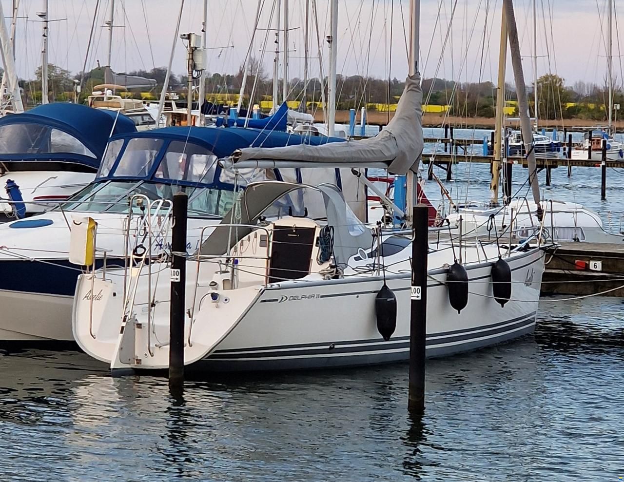 Delphia 28 Sport