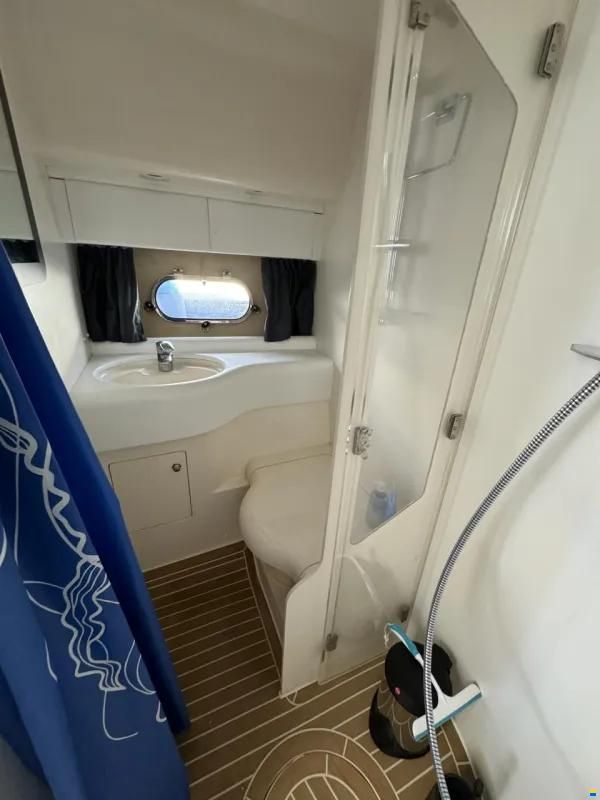 Princess 440