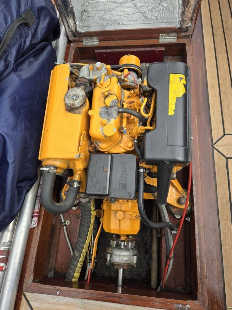 Wester Engh 685 Golden Horn