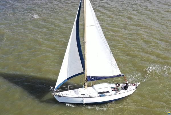 Invicta 26
