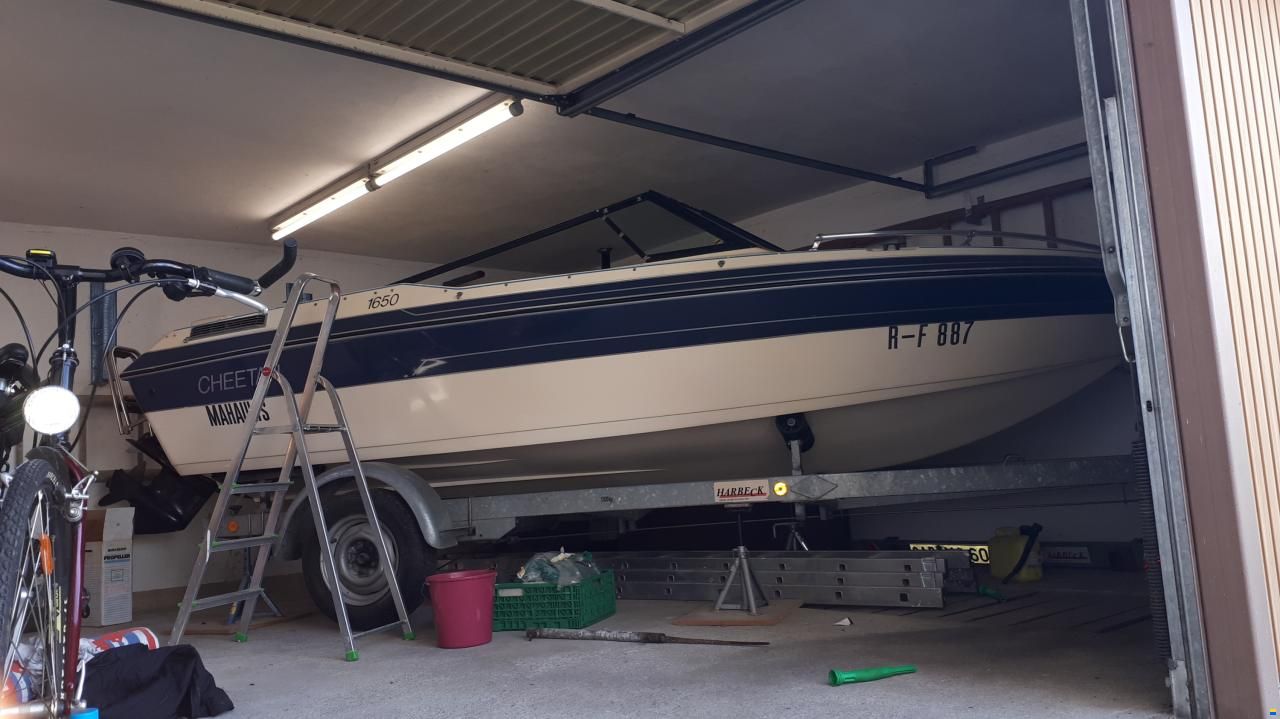 Cheetah 1650