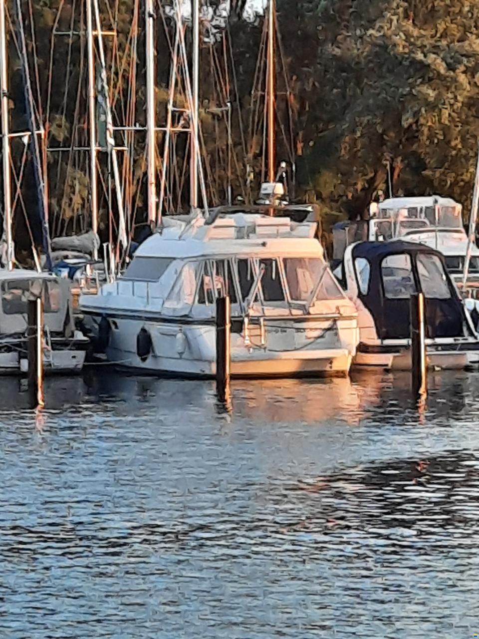 Mochi Craft Europa 40
