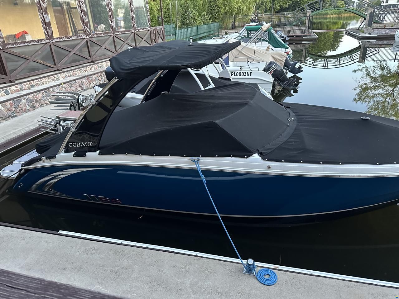Cobalt R5 Wss Surf