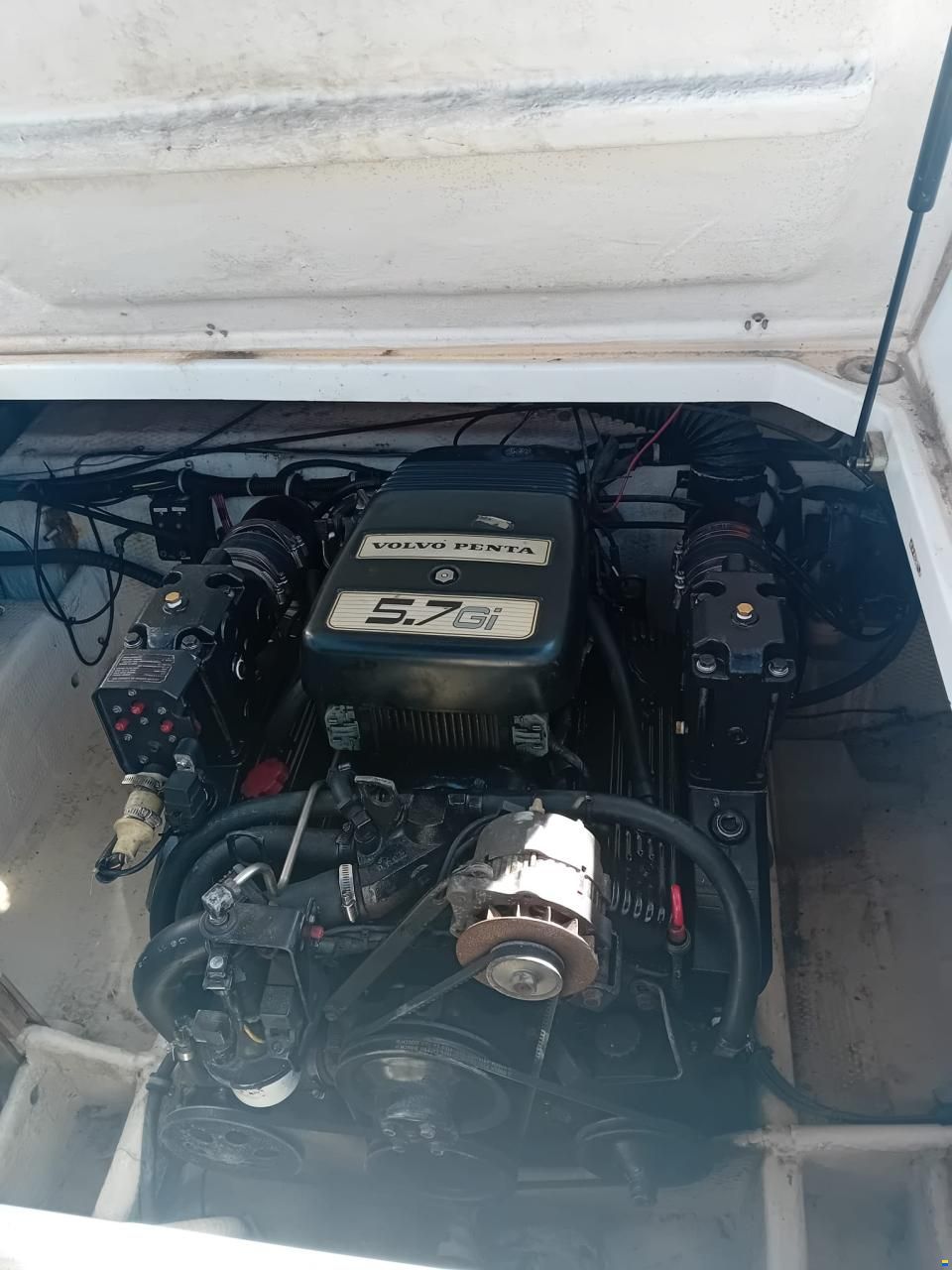 Wellcraft 243 Prima