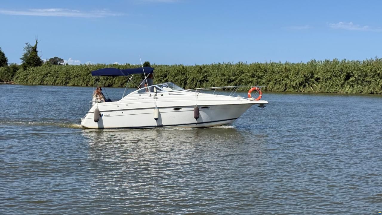 Wellcraft 243 Prima