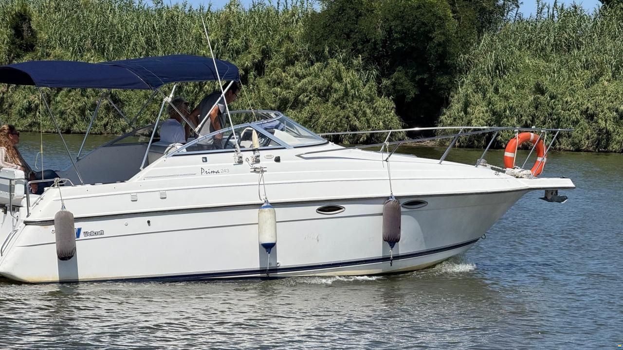 Wellcraft 243 Prima