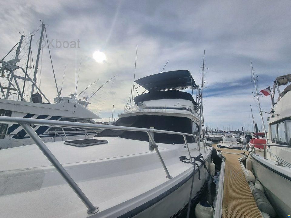 Blackfin 38 CONVERTIBLE