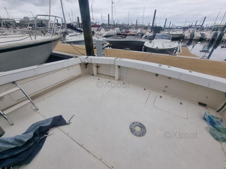 Blackfin 38 CONVERTIBLE