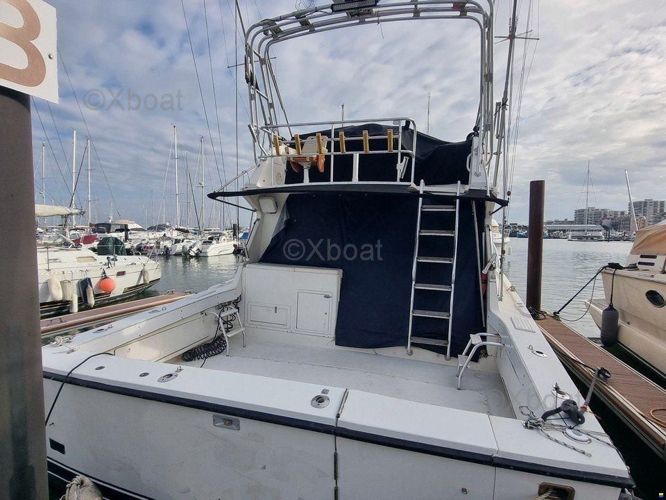 Blackfin 38 CONVERTIBLE