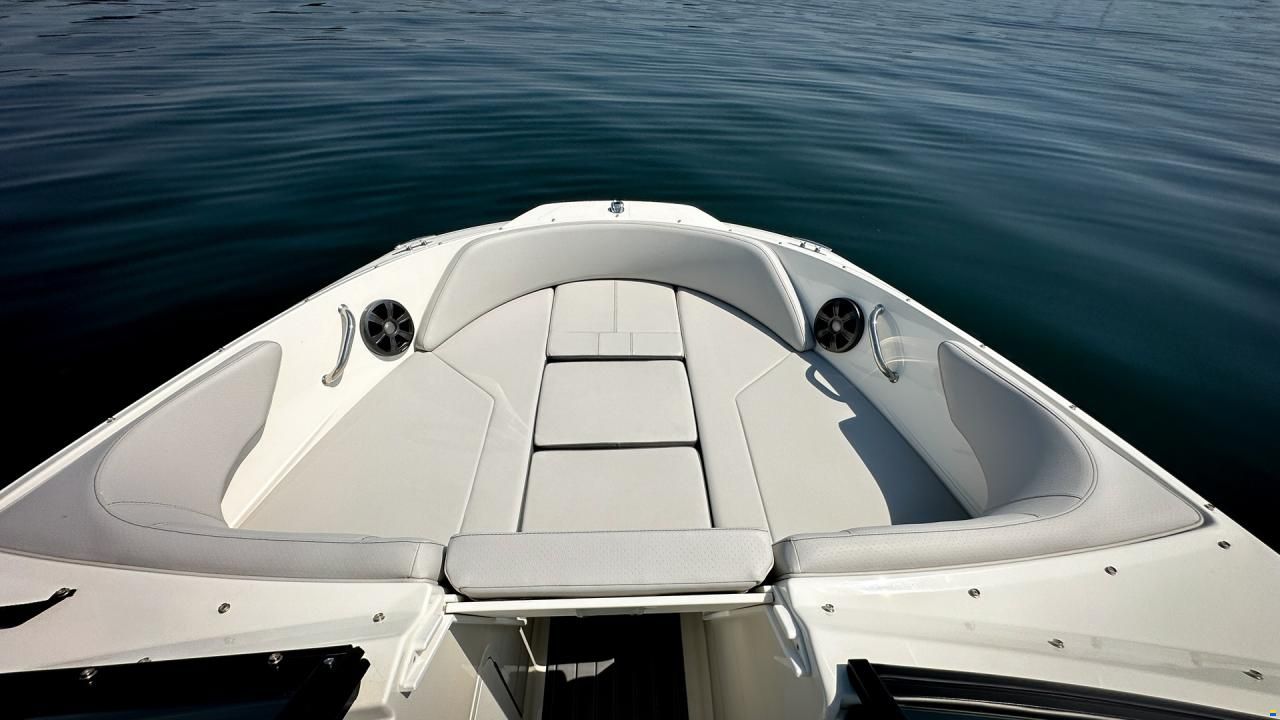 Sea Ray SPX 190 OB