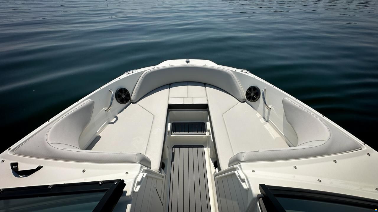 Sea Ray SPX 190 OB