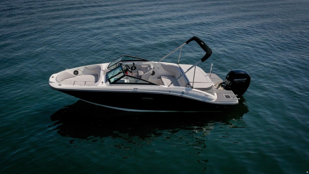 Sea Ray SPX 190 OB