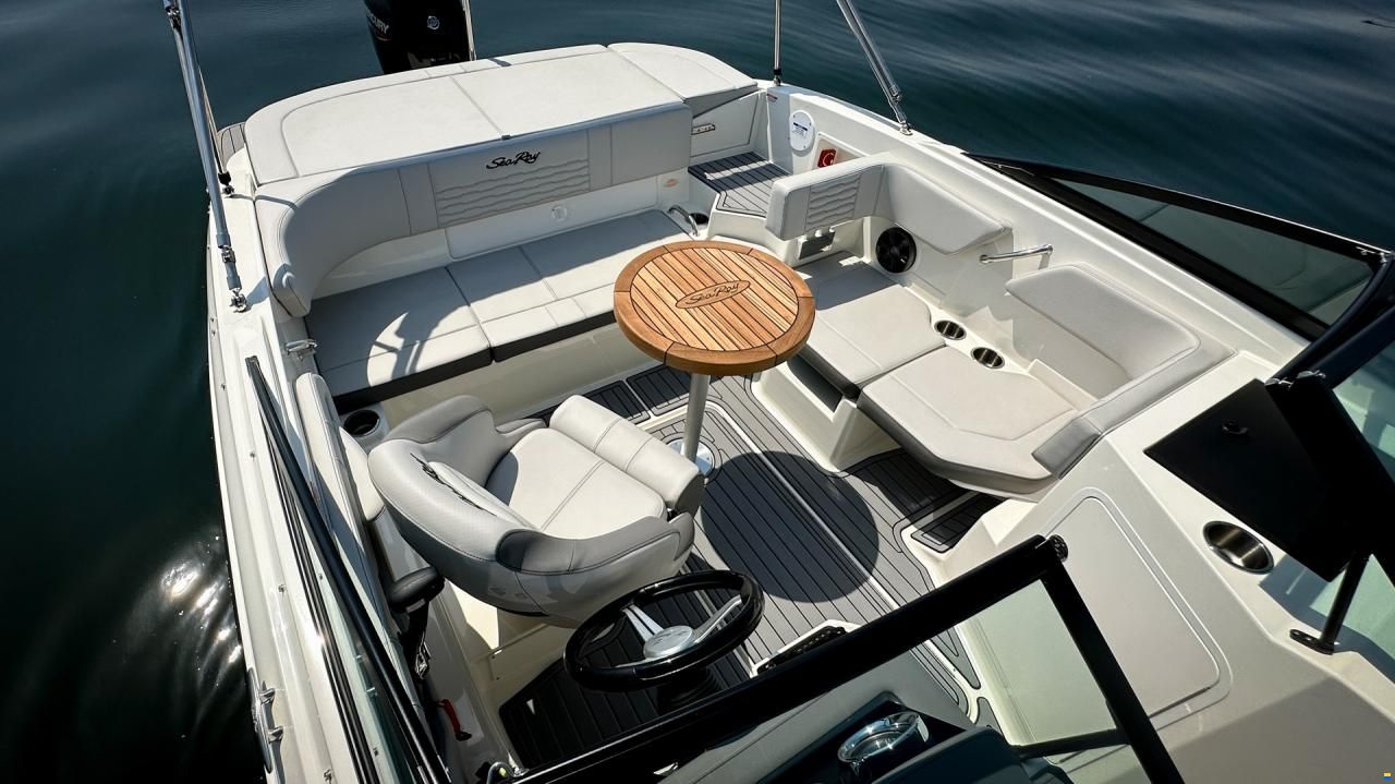 Sea Ray SPX 190 OB