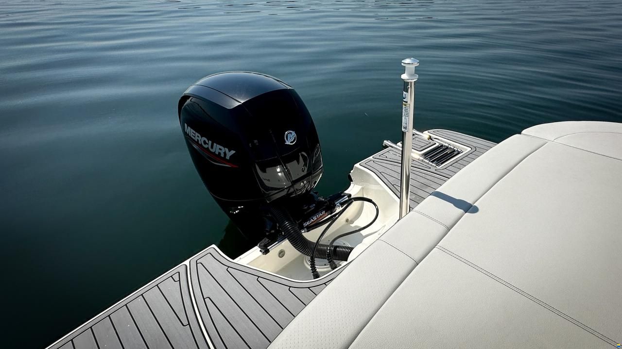 Sea Ray SPX 190 OB