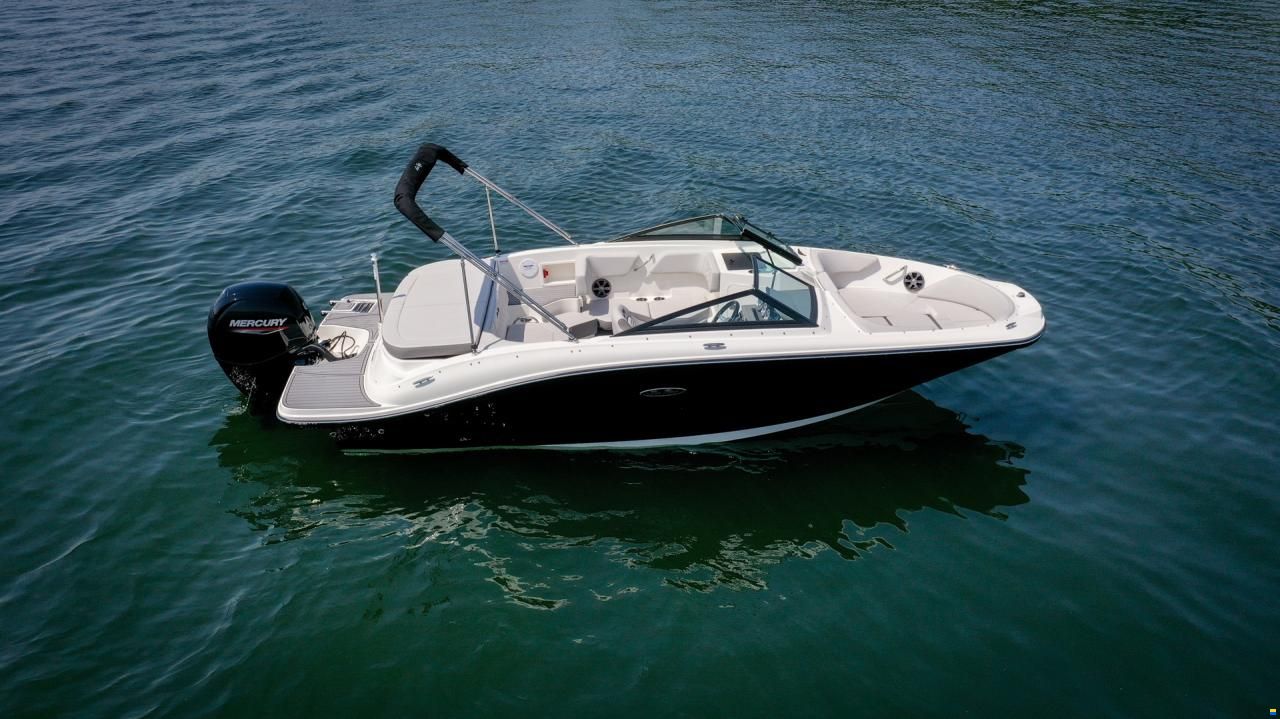 Sea Ray SPX 190 OB