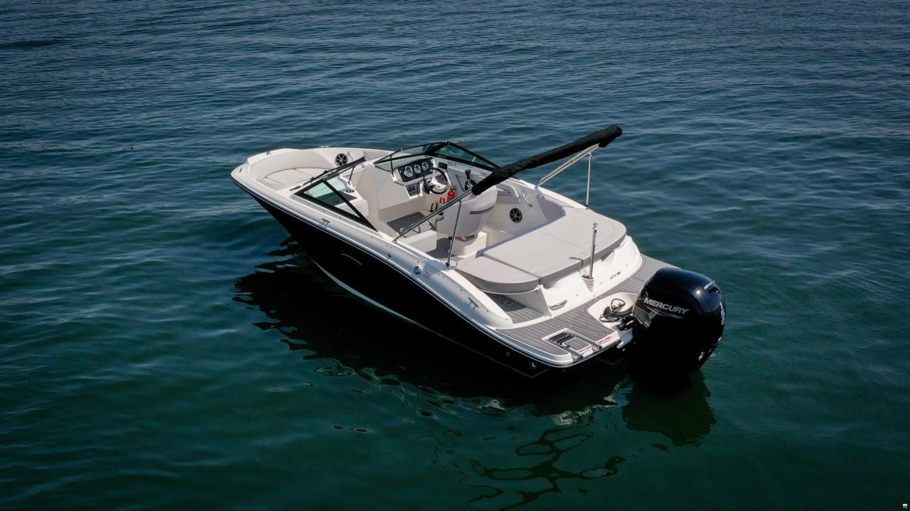 Sea Ray SPX 190 OB