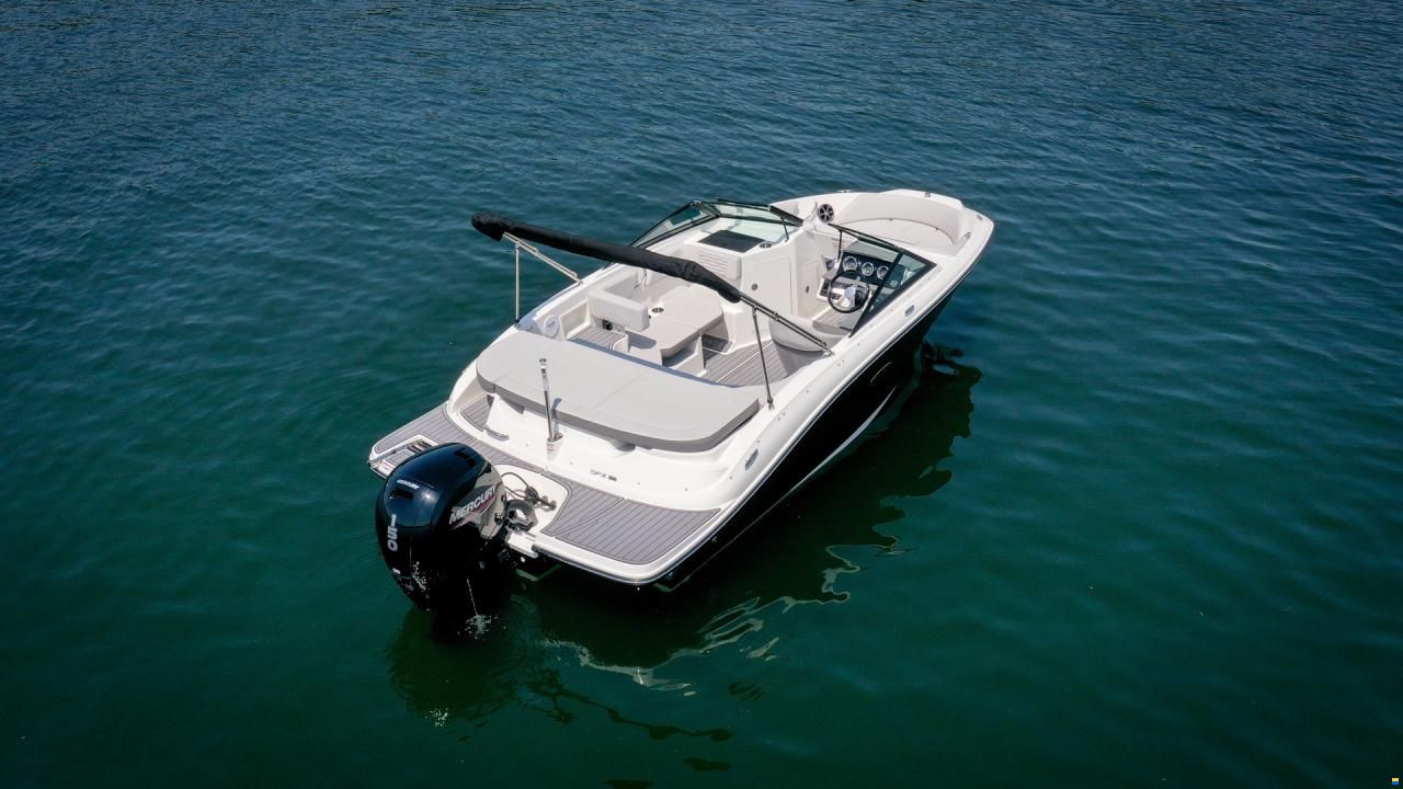Sea Ray SPX 190 OB