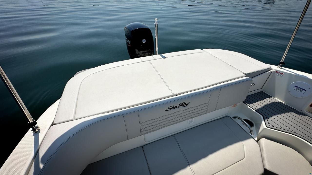 Sea Ray SPX 190 OB