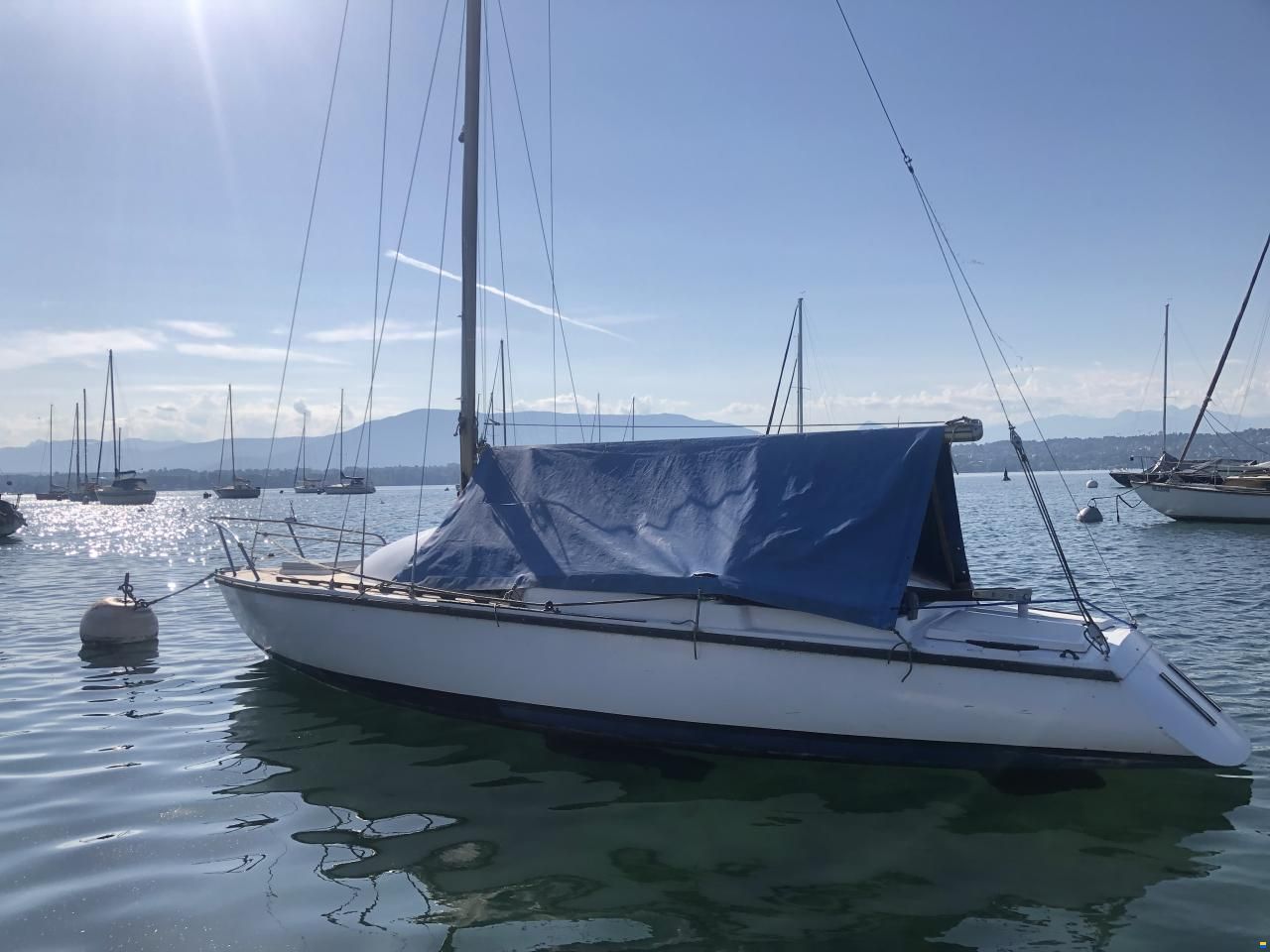 Archambault Bagheera