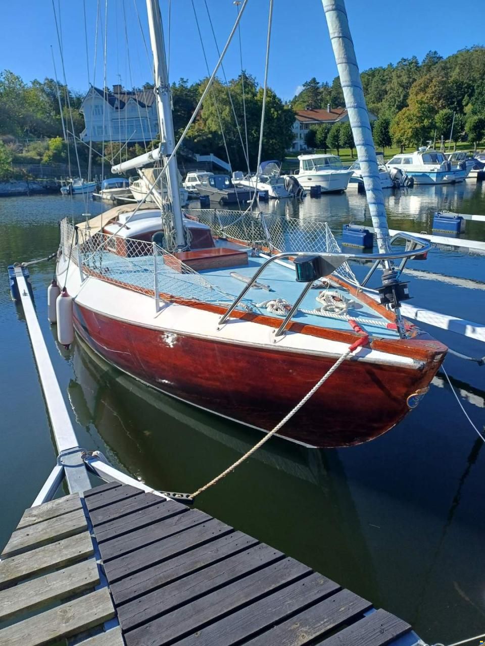 Havskryssare