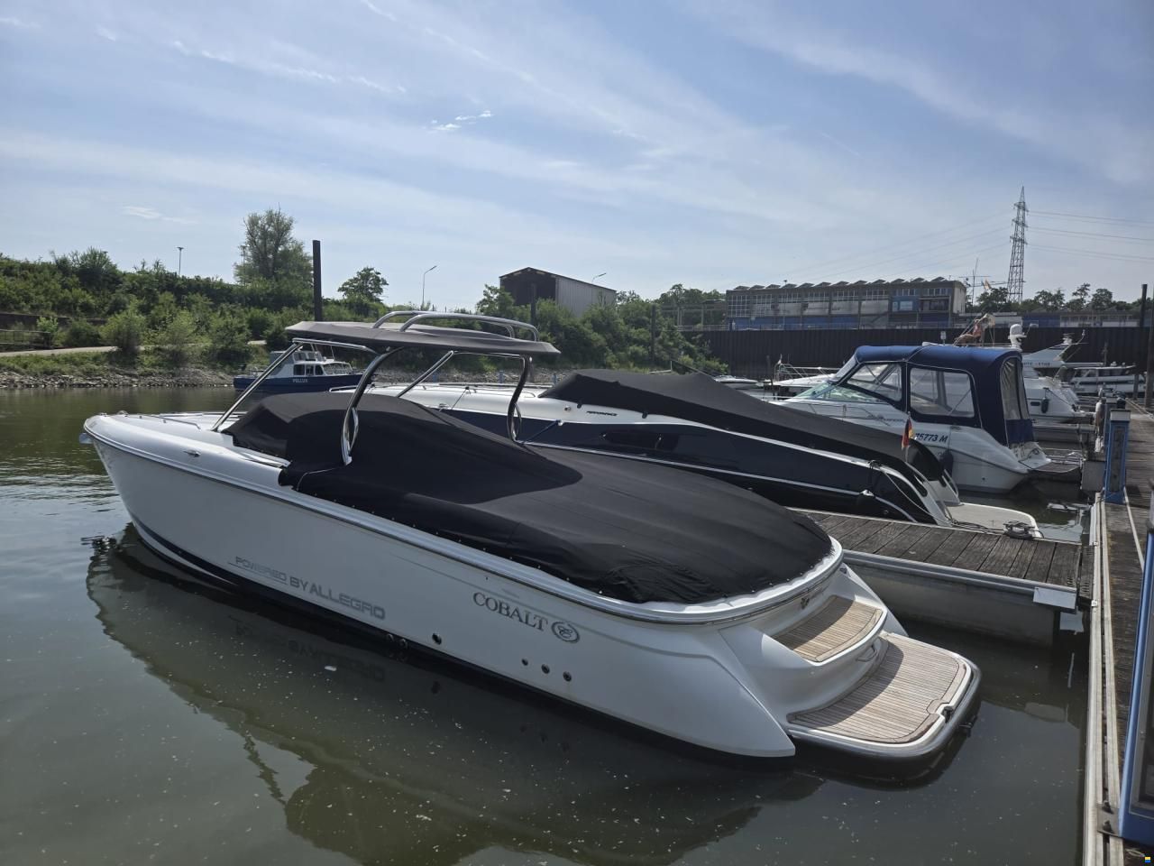 Cobalt 343
