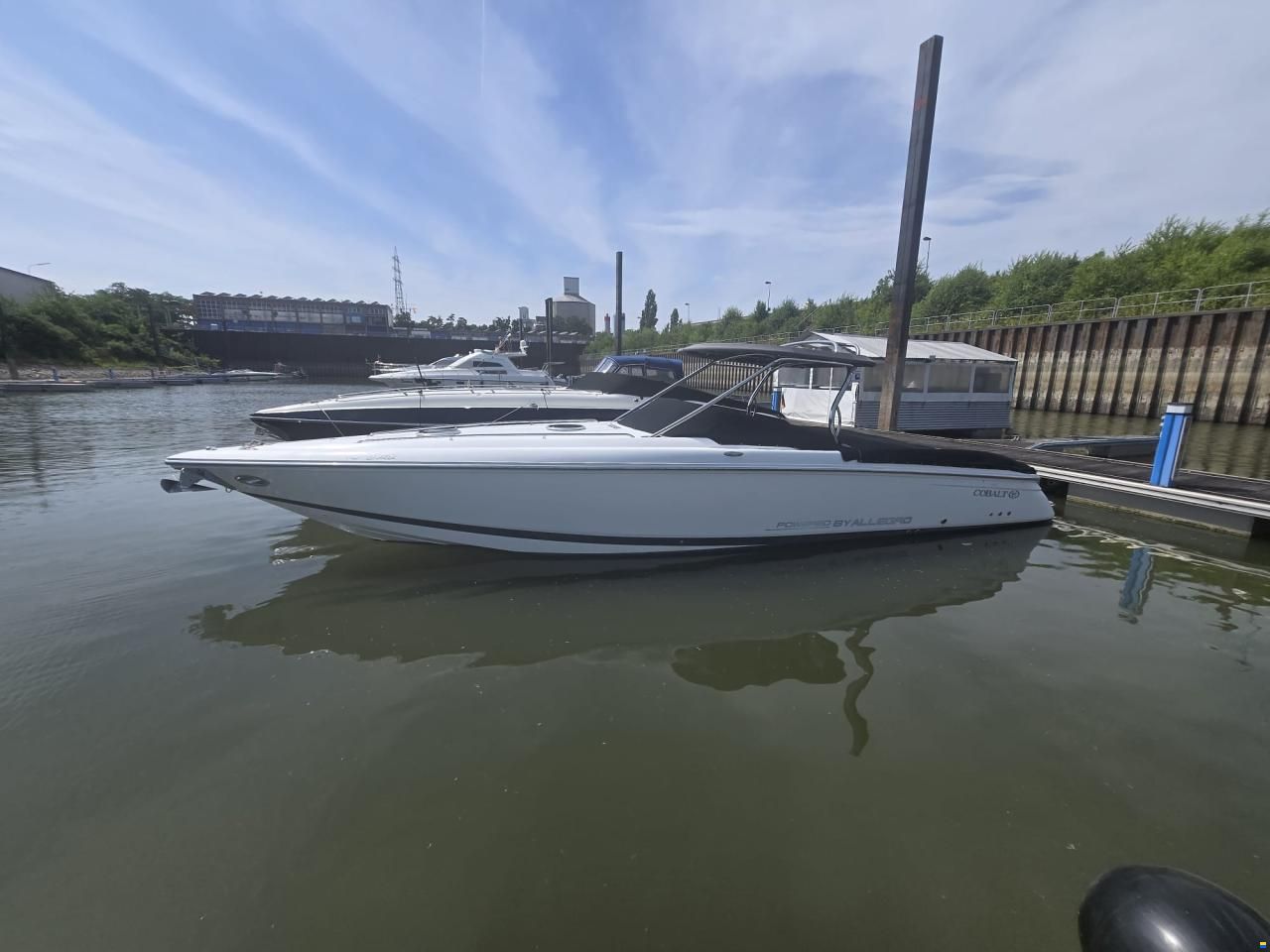 Cobalt 343