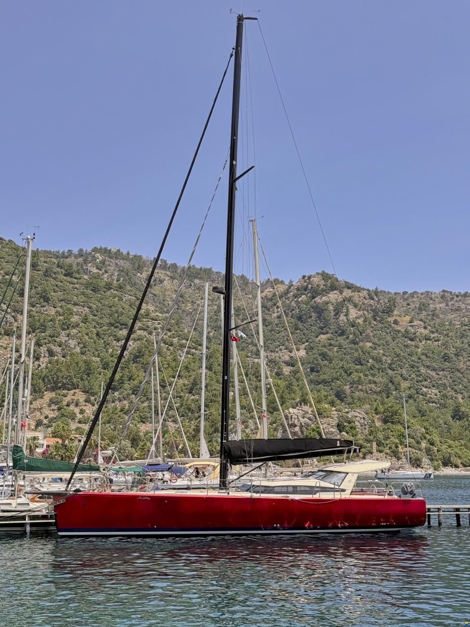 Pegasus 50