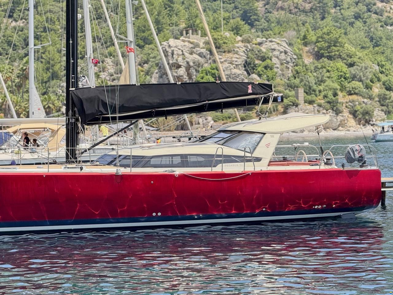 Pegasus 50