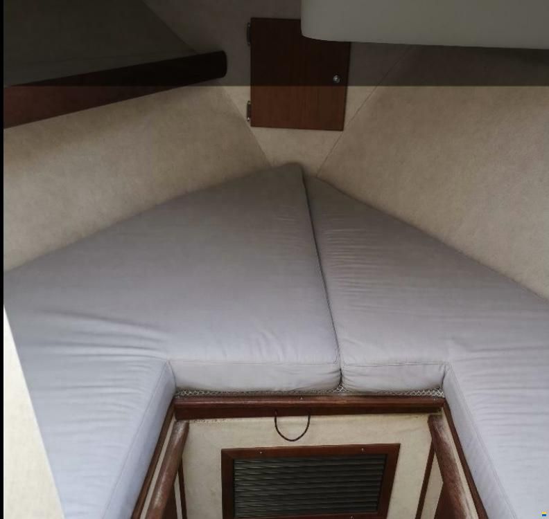 Bayliner 3288 Fly