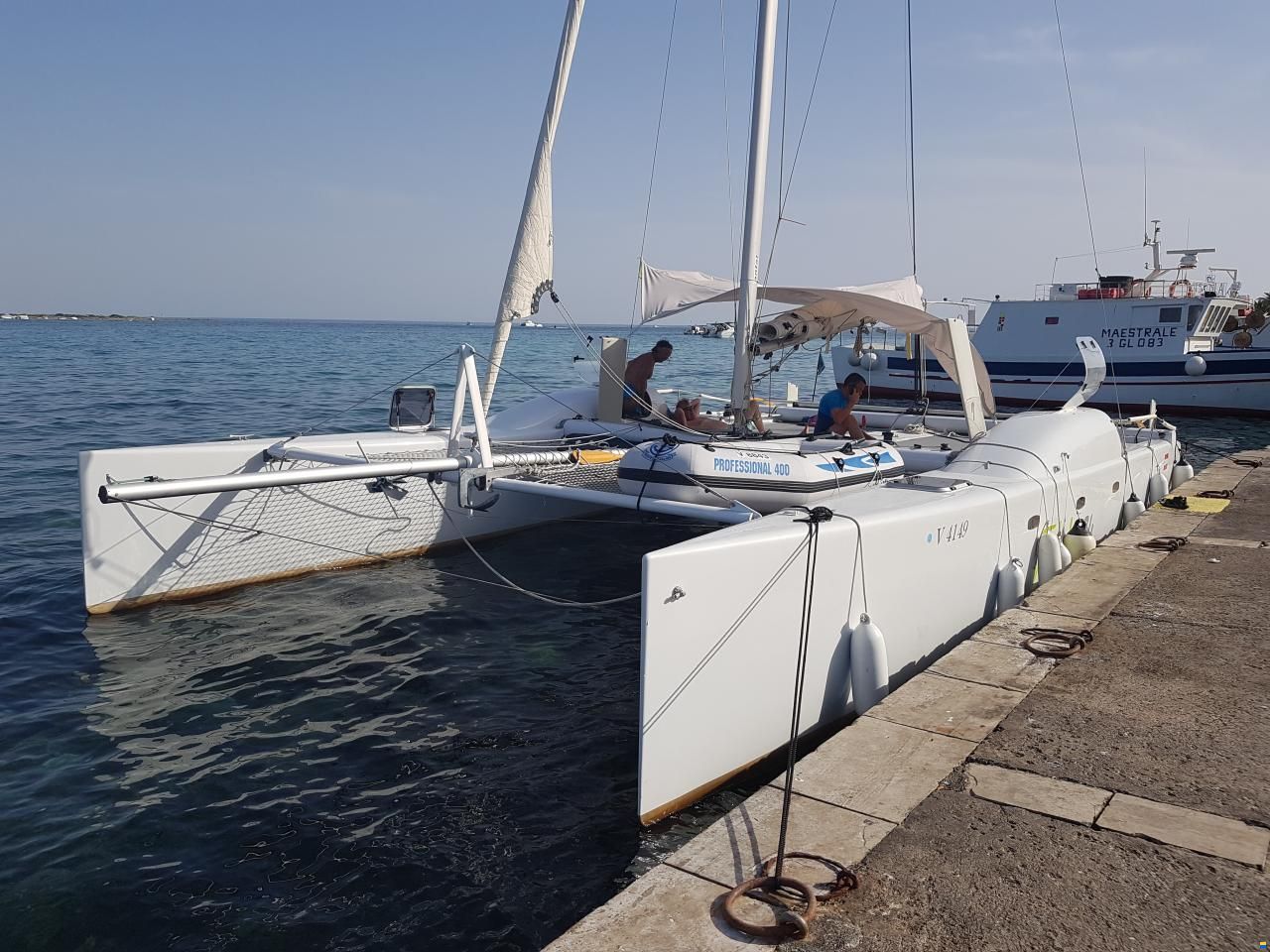 FH 34 Wolf Cat Design