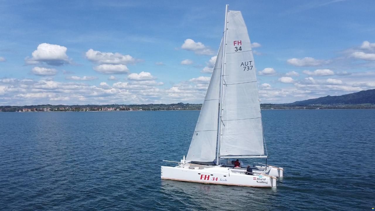 FH 34 Wolf Cat Design