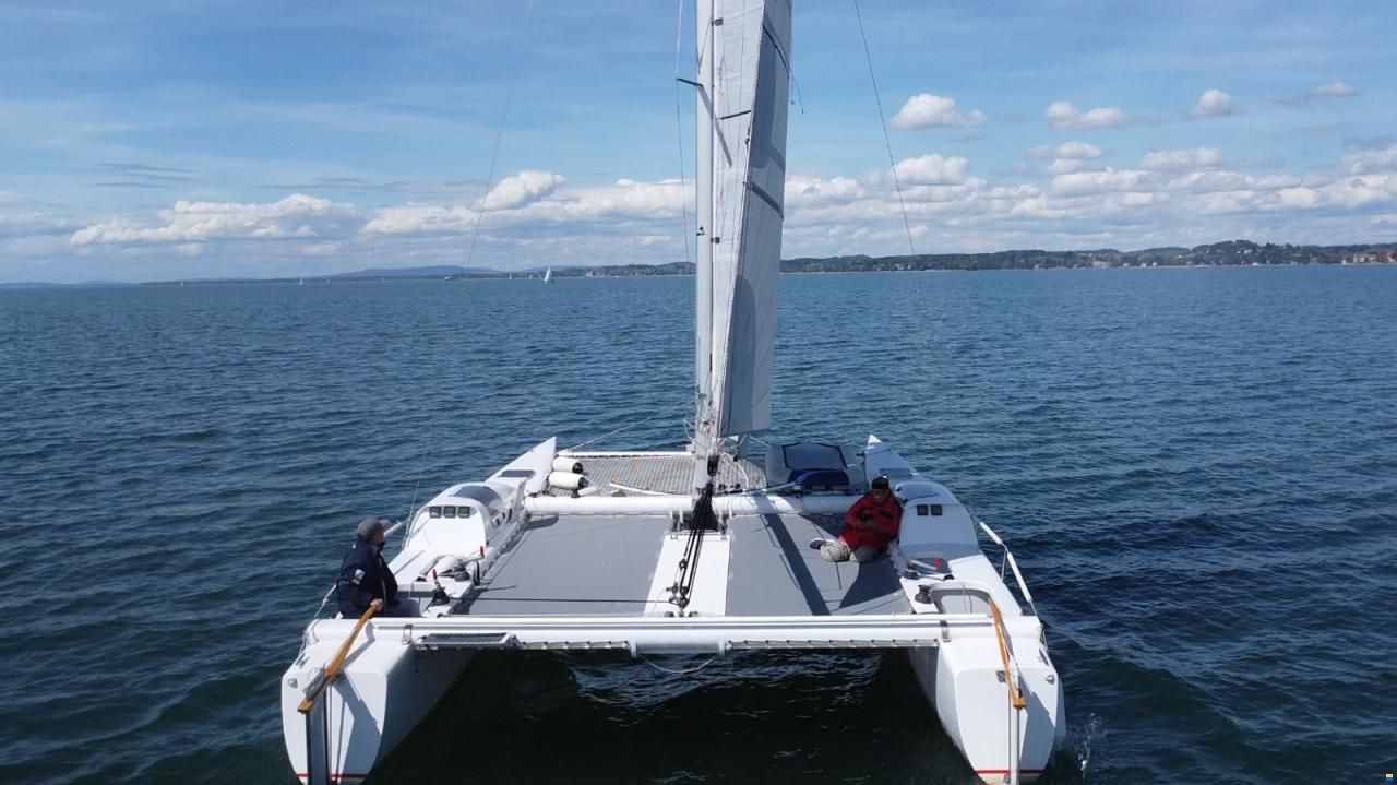 FH 34 Wolf Cat Design