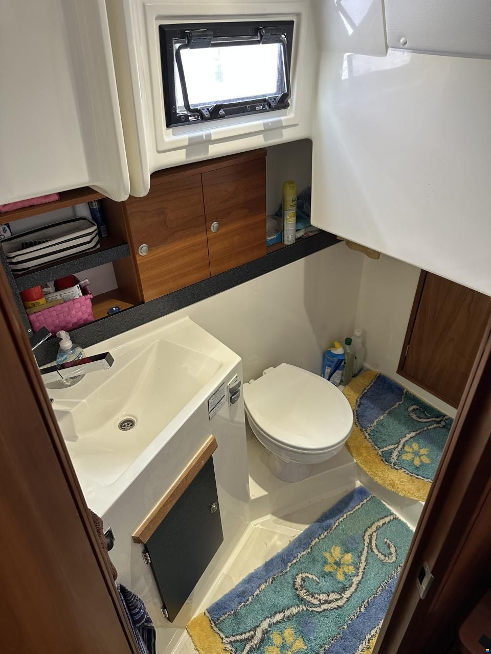 Delphia Soley 1100 Escape