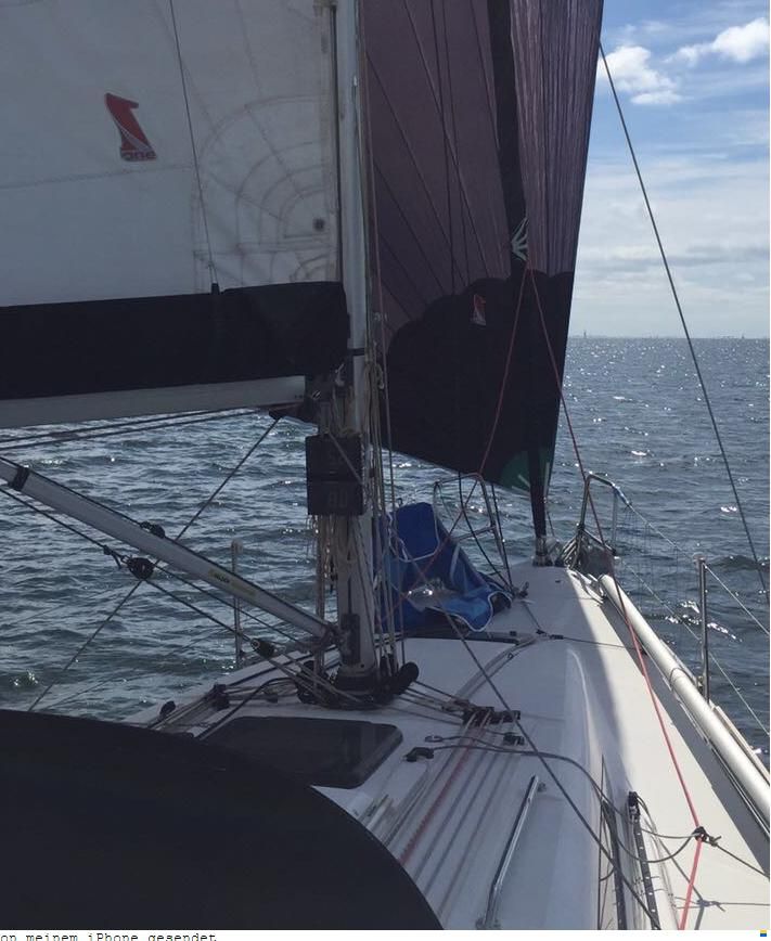 Dehler 29