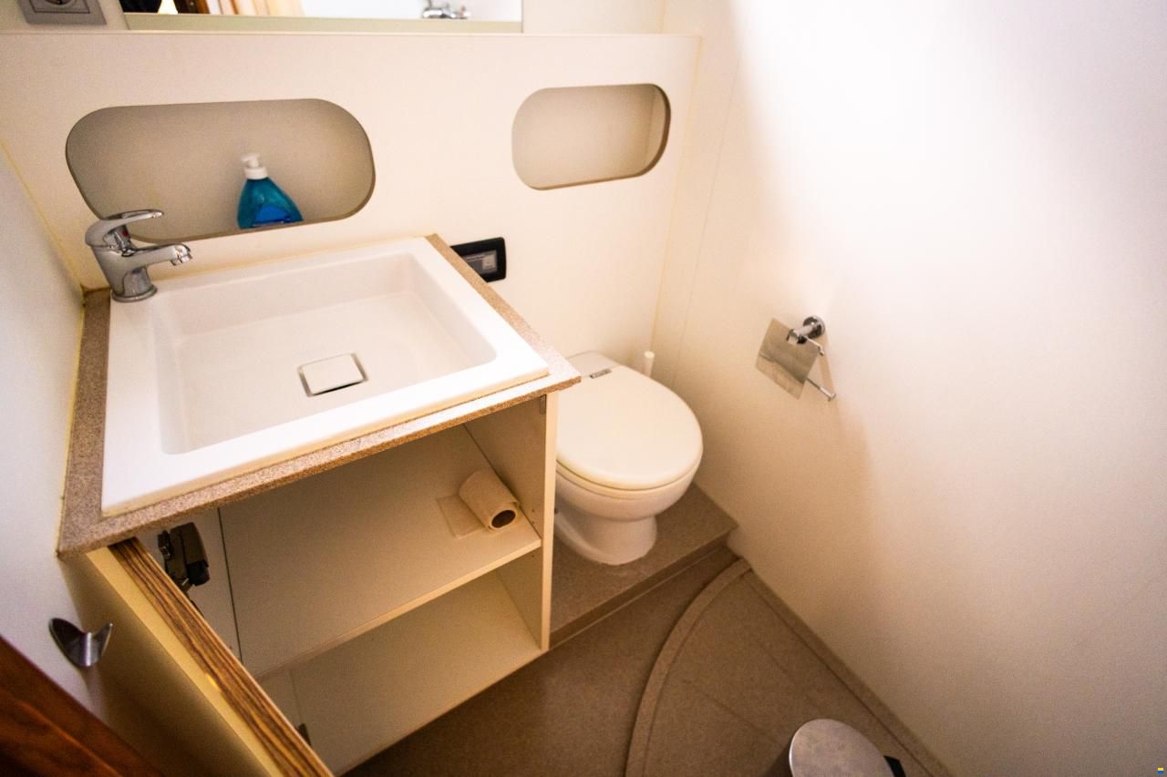 Linskens Catfish 46