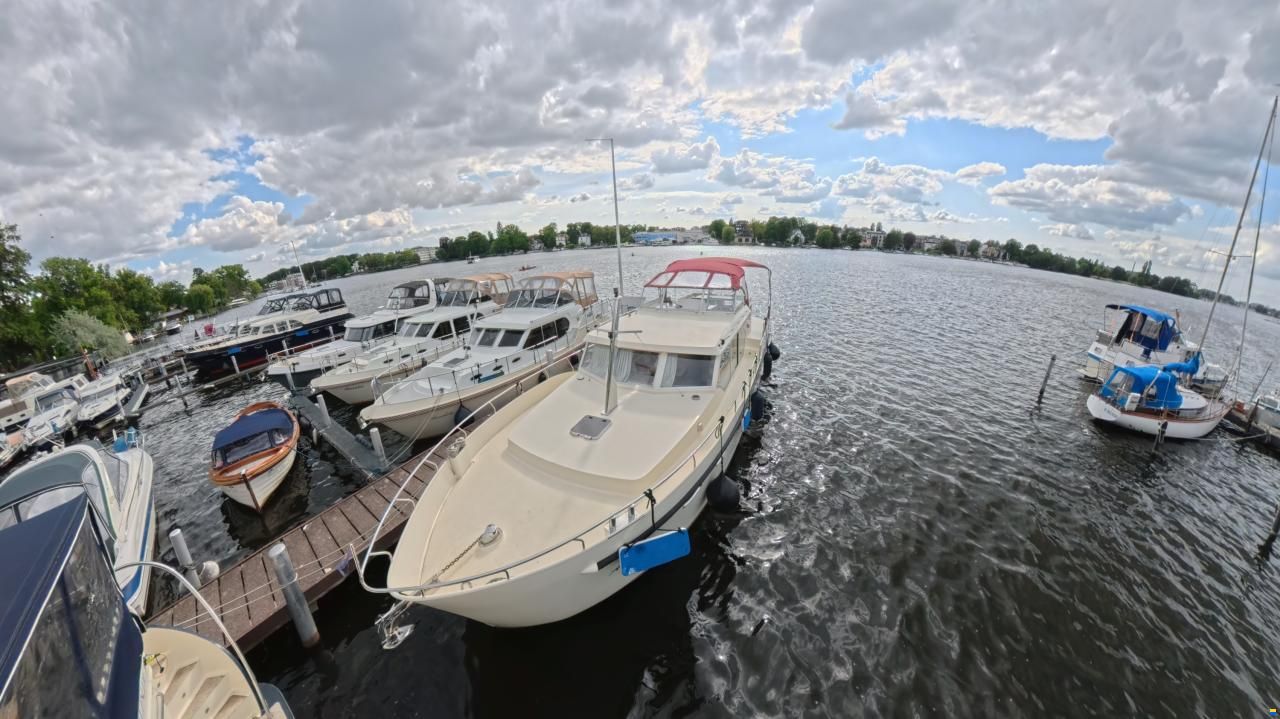 Linskens Catfish 46