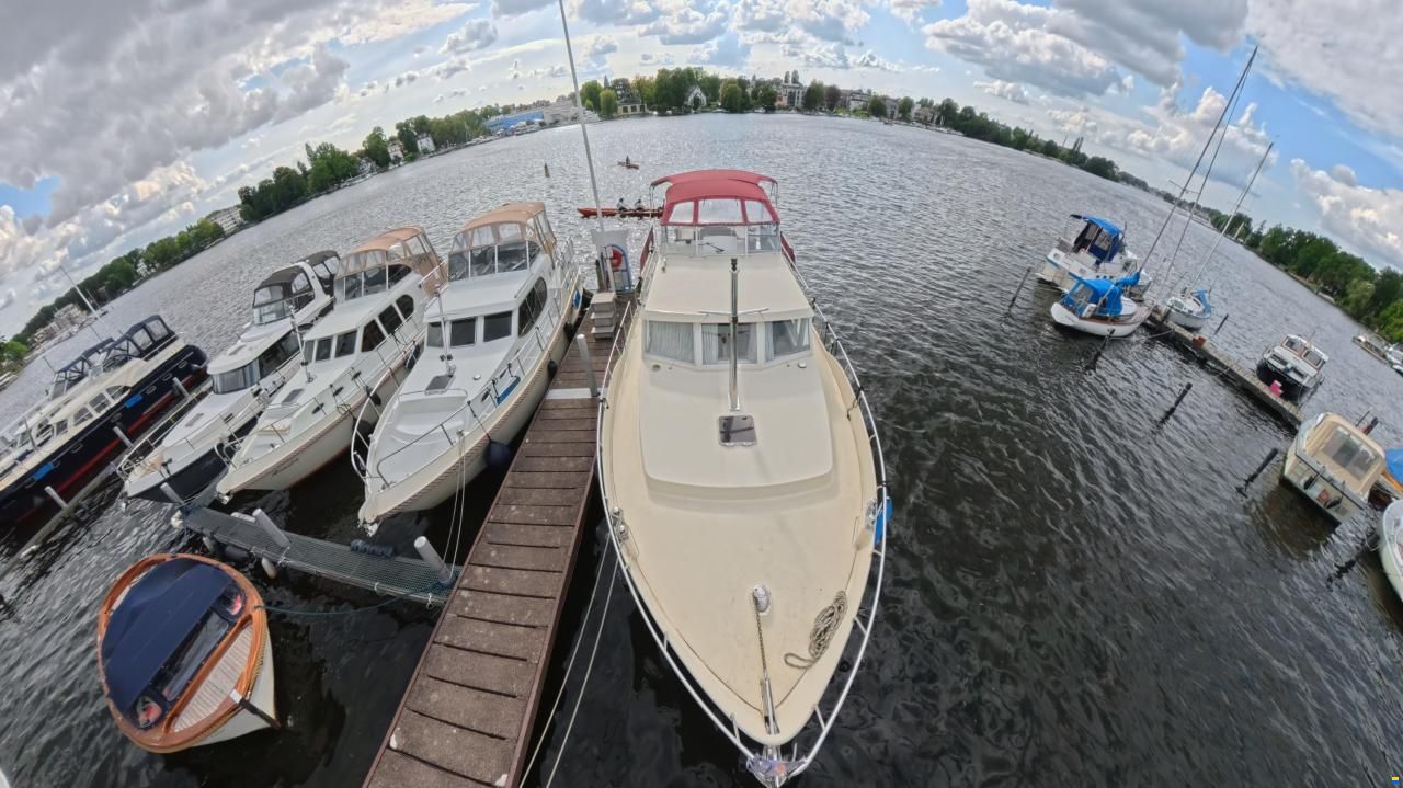 Linskens Catfish 46