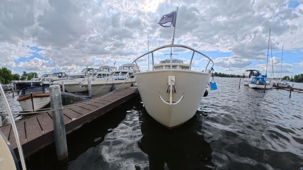 Linskens Catfish 46